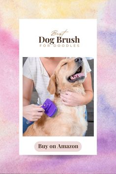 a woman is brushing her dog's hair with an electric brush