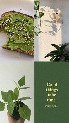 there are three different pictures with plants and food on them, one has a piece of bread that says good things take time