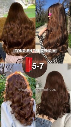 Igora Royal Chocolate Brown, Medium Mahogany Brown Hair, Coper Hairstyles Color, Brunette Chocolate Hair, Latina Brown Hair, Pelo Color Chocolate, Rubio Chocolate, Hair Colors 2024, Brown Chocolate Hair