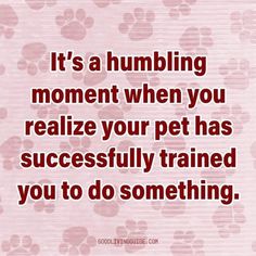 a quote that says, it's a humbling moment when you relize your pet has successfully trained you to do something