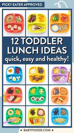 the cover of 12 toddler lunch ideas quick, easy and healthy