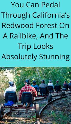 people riding on train tracks with text that reads, you can pedal through california's redwood forest on a railway and the trip looks absolutely stunning