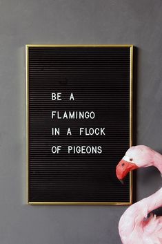 a pink flamingo standing in front of a sign that says be a flamingo in a flock of pigeons