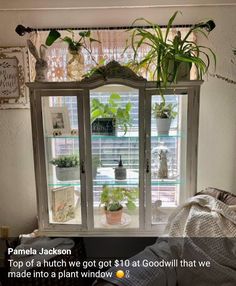 a window with potted plants in it and a blanket on the chair next to it