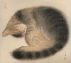 a drawing of a cat curled up and sleeping