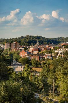 the city is surrounded by trees and buildings