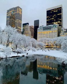 the city skyline is covered in snow as people walk along the river and on the sidewalk