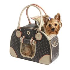 a small dog is sitting in a pet carrier