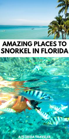 an image of the ocean with text that reads amazing places to snorkel in florida