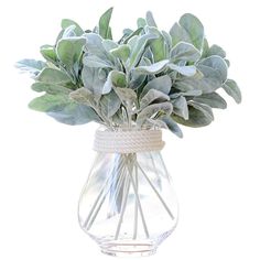 a vase filled with lots of green leaves