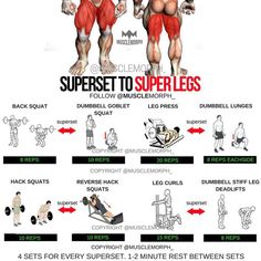 an image of the upper and lower body workouts with instructions for each muscle type