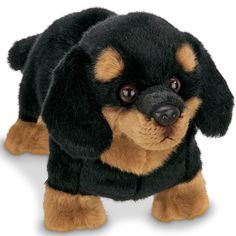 a black and tan dog stuffed animal on a white background with one eye open to the camera