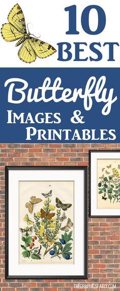 the 10 best butterfly images and printables for children's room wall art