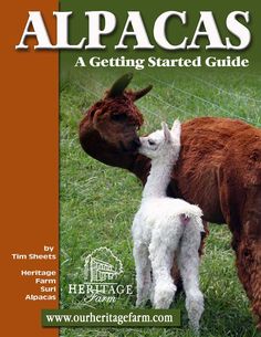 an image of a baby goat and its mother in the grass with text that reads, alpacas