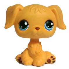 a little yellow dog with big blue eyes sitting down in front of a white background