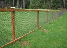 a wooden fence with green grass and trees in the background