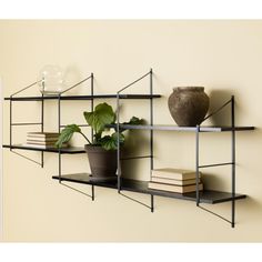 a shelf with books and a potted plant on it