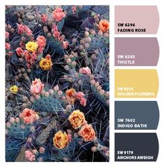 the color scheme for this cactus is gray, yellow and pink with flowers on it