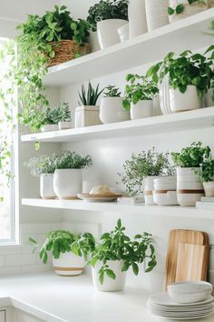 Looking for Kitchen Shelves Decor? Discover these stunning ideas that blend aesthetic appeal with functionality, perfect for enhancing your kitchen's style.