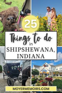 feeding bison, couple posing in a sunflower field, black Amish buggy, Shipshewana restaurant with flowers out in front. Shipshewana Indiana Things To Do, Muncie Indiana Things To Do, Story Inn Nashville Indiana, Mishawaka Indiana