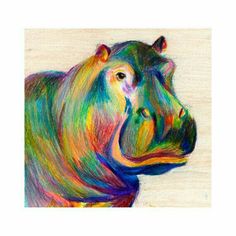 a drawing of a hippopotamus in colored pastel pencils on white paper