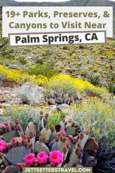 national parks near palm springs San Bernardino National Forest, San Bernardino Mountains, Alpine Forest, California Hikes, National Parks Photography