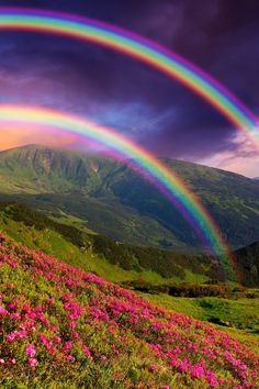 two rainbows are in the sky over a mountain meadow with wildflowers and pink flowers