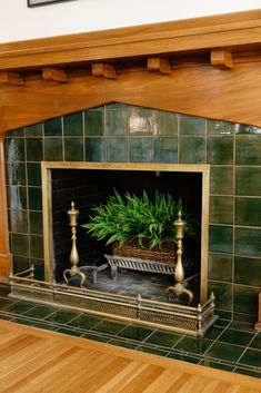 a fireplace with a potted plant in it