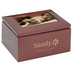 a box with a picture of a cat on the inside and sandy's forever my buddy written on it