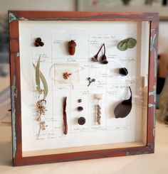 a framed display with various plants and leaves on it's side, in front of a table