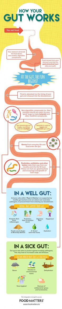 This infographic breaks down just what our gut does for us and how to keep it working and healthy. Food Matters, Health Info, Digestive System, Health Diet, Digestive Health, Gut Health, Health And Nutrition