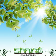 the word spring is surrounded by green leaves and butterflies in front of a blue sky