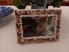 there is a cat that is sitting in a frame on the table next to some flowers