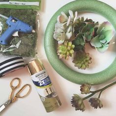 the supplies needed to make this succulent craft include scissors, glue and flowers