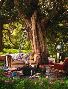 a living room filled with lots of furniture under a tree in the grass next to a ladder