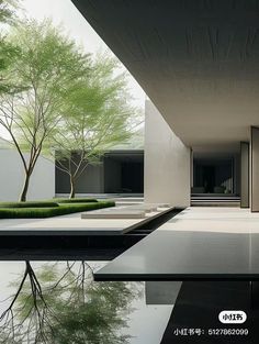 the entrance to a modern house with water reflecting on the floor and trees in the background