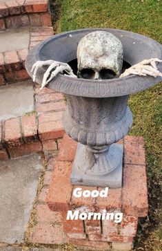 a skull in a flower pot with the words good morning on it's side