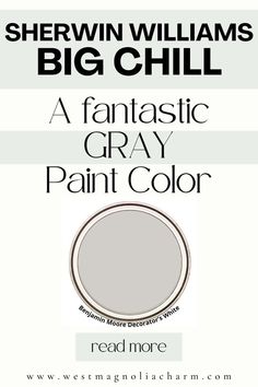 the front cover of sherylin williams's big chill paint color, featuring a gray