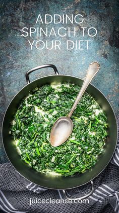 Is it okay to eat spinach everyday | What does spinach do for the body | Health Benefits of Spinach | Is Eating Spinach Every Day Good for You | how to include spinach in your diet Keto Creamed Spinach, Creamed Spinach Recipe, Greek Spinach Pie, White Chocolate Sauce, Spinach Juice, Paella Valenciana, Keto Cream, Spinach Pie, Low Carb Sides