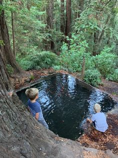 two young boys are looking into a pond in the woods