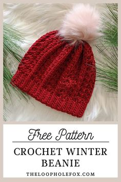 the free crochet winter beanie pattern with text overlay