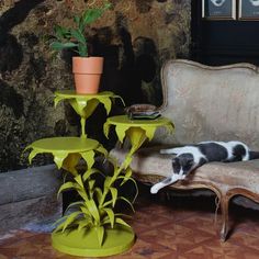 a black and white cat laying on top of a couch next to a potted plant