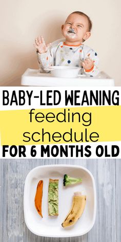 baby - led weaning feeding schedule for 6 months old with text overlay