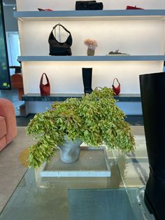 there is a vase with plants in it on the glass table next to shoes and purses