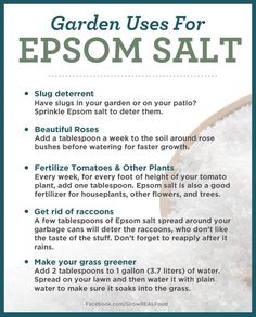 a recipe for epsom salt is shown in this poster, which shows how to use it