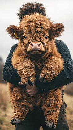 a person holding a brown cow in their arms