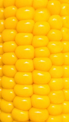 corn on the cob is shown in this close up photo, with yellow color