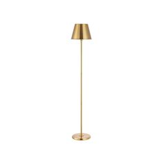 a gold floor lamp on a white background