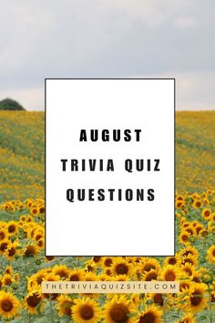 a field full of sunflowers with the words august trivia quiz questions on it