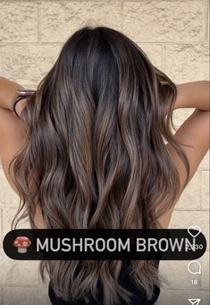 Chocolate Brown With Money Piece, Brown With Money Piece, Shades Of Brown Hair Color, Coffee Hair Color, Shades Of Brown Hair, Medium Brown Hair Color, Brown Hair Color Shades, Baby Lights, Black Hair Balayage